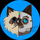 MIGGAI logo